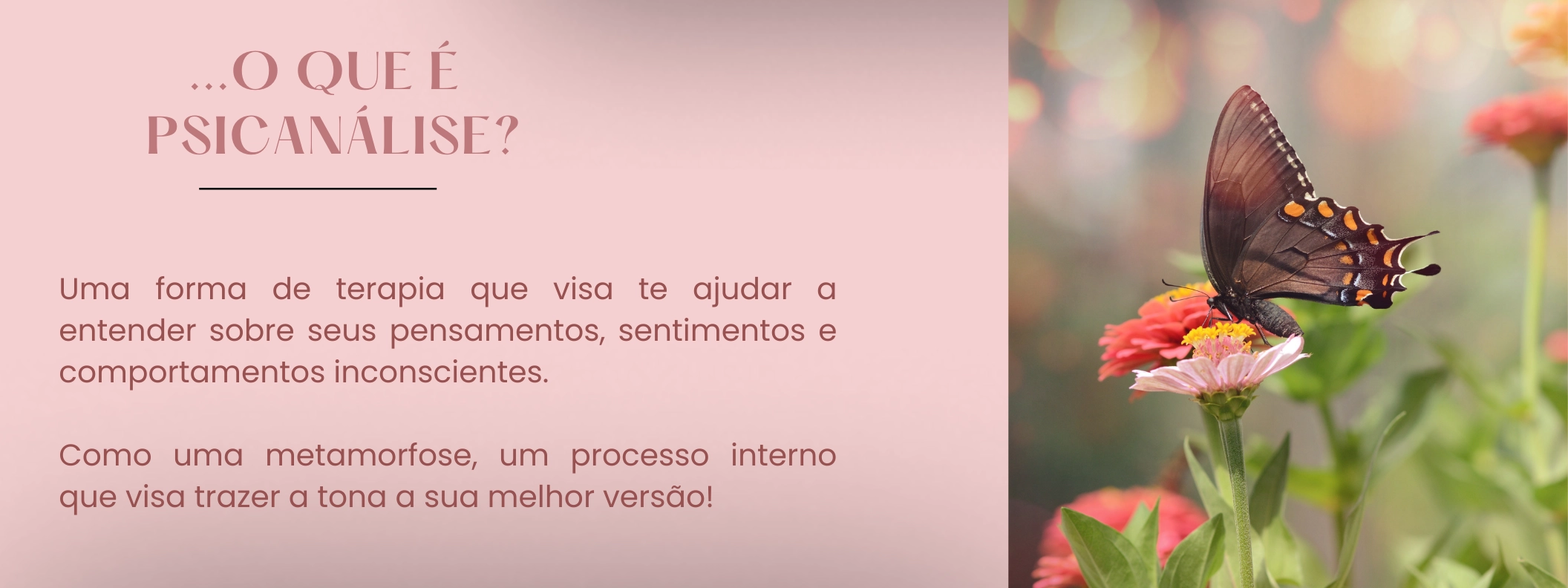 O que é psicanalise